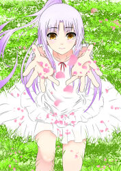 tachibana kanade from angel beats!
