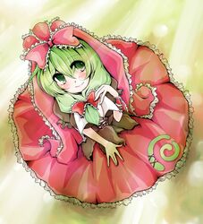 kagiyama hina from touhou by re (sasagiri1990)