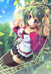melon-chan from melonbooks by izumi tsubasu