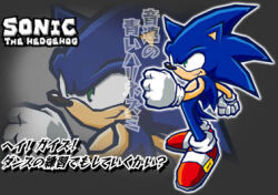 sonic the hedgehog from sonic (series)
