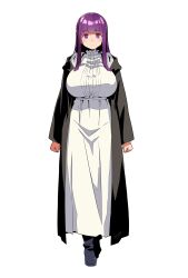 fern (sousou no frieren) from sousou no frieren