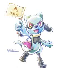 riolu from pokemon