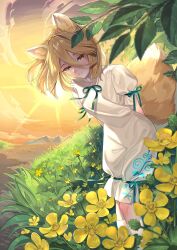 kudamaki tsukasa from touhou