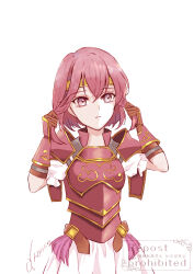 minerva (fire emblem) from fire emblem