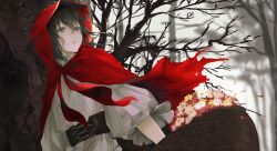 little red riding hood (fairy tale) fan art