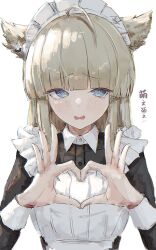 perlica (arknights) from arknights