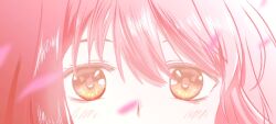 nikki (nikki) from nikki (series)