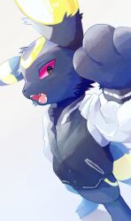 umbreon from pokemon