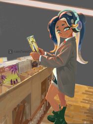 marina (splatoon) from splatoon (series)