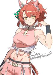 dantsu flame (center spotlight) (umamusume) from umamusume