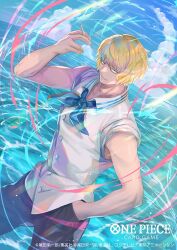 donquixote rocinante from one piece