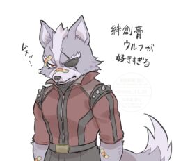 wolf o'donnell from star fox