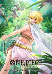 marguerite (one piece) from one piece