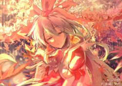 kagiyama hina from touhou
