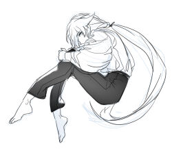 fu hua from honkai (series)