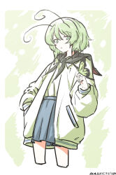 wriggle nightbug from touhou
