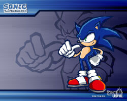 sonic the hedgehog from sonic (series)