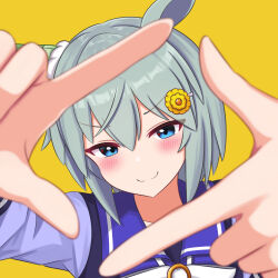 seiun sky (umamusume) from umamusume