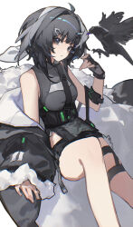 la pluma (arknights) from arknights