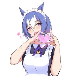 cesario (umamusume) from umamusume