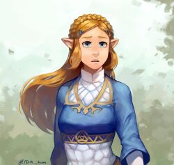 princess zelda from the legend of zelda by idk-kun