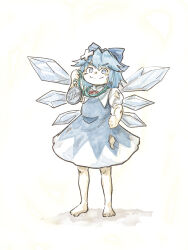 cirno from touhou