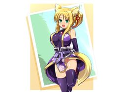 yukikaze panettone from dog days by katami shinta