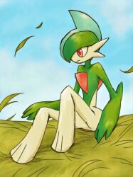 gallade from pokemon