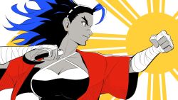 street fighter fan art
