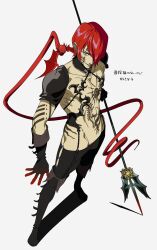 castlevania: curse of darkness fan art