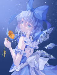 cirno from touhou