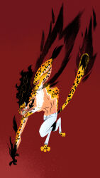 rob lucci from one piece