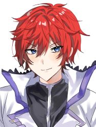 reinhard van astrea from re:zero kara hajimeru isekai seikatsu