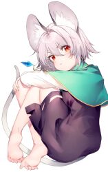nazrin from touhou by kibayashi kimori