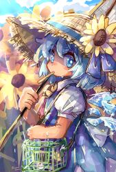 cirno from touhou