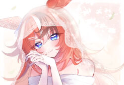 umamusume fan art