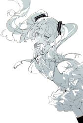 hatsune miku from vocaloid
