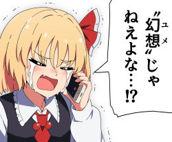 rumia from touhou by necono (nekonosora1207)