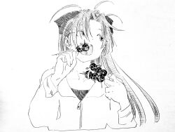 sakura kyoko from mahou shoujo madoka magica
