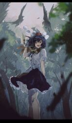 shameimaru aya from touhou