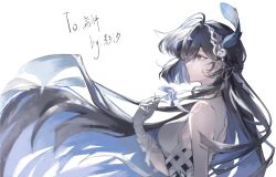punishing: gray raven fan art