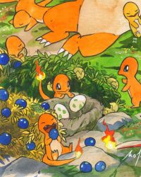 charizard from pokemon