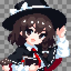 usami renko from touhou