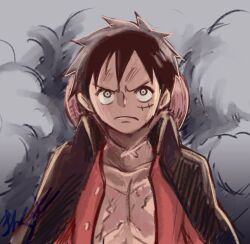 monkey d. luffy from one piece