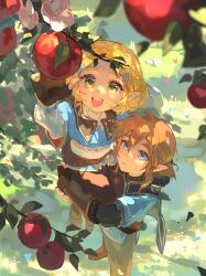 link from the legend of zelda by yumiyumo3o