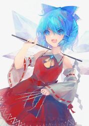 cirno from touhou by lyiet