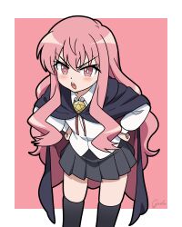 louise francoise le blanc de la valliere from zero no tsukaima