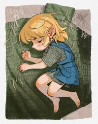 link from the legend of zelda