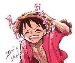 monkey d. luffy from one piece