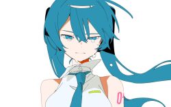 hatsune miku from vocaloid